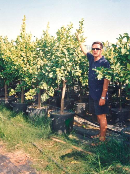 VITO GIAMBO' NEGLI ANNI '80