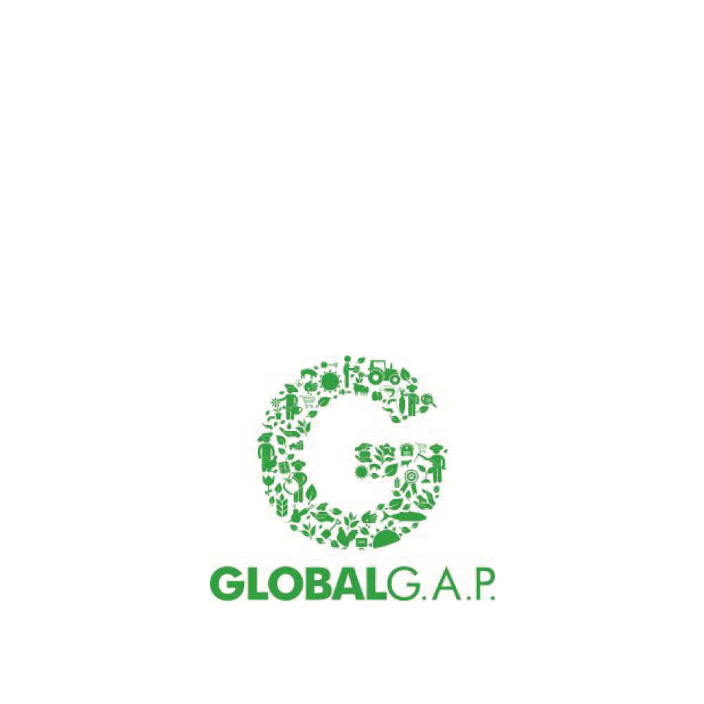 certificazione-global-gap-giambo