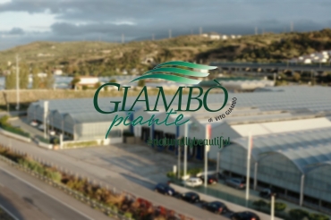 Video Promo 2020